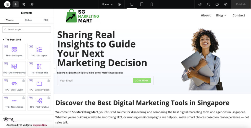 wordpress elementor singapore